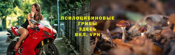 герыч Майский