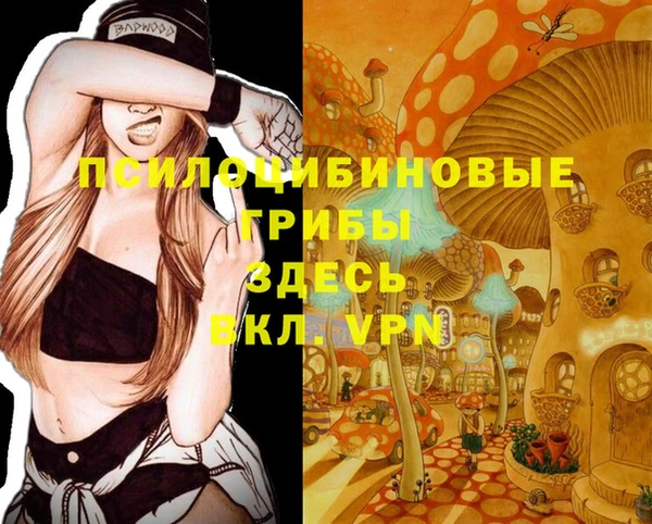 МДПВ Магас