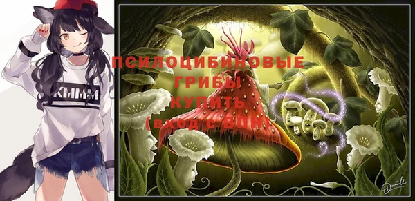 МДПВ Магас