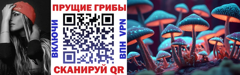 Купить Исилькуль Псилоцибиновые грибы Magic Shrooms